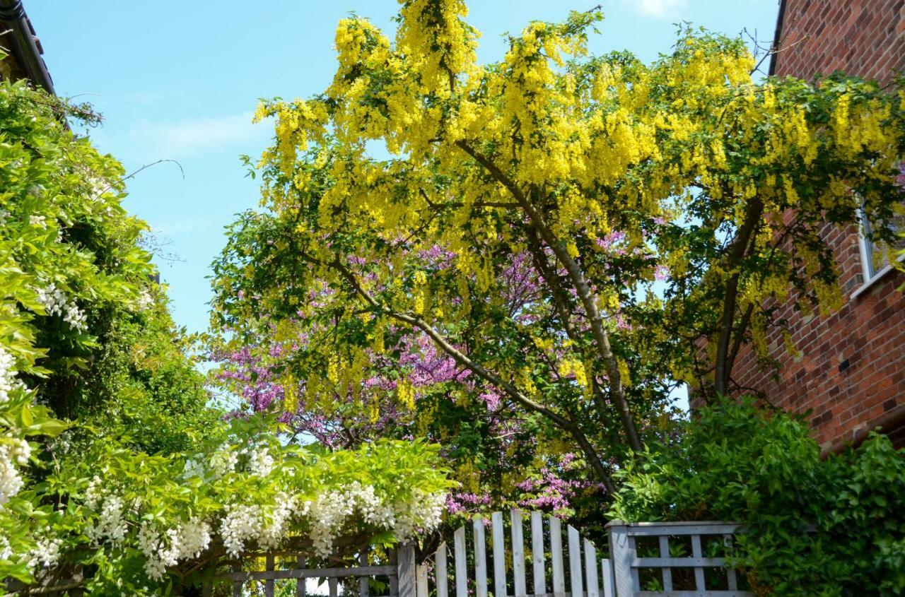 Grove Cottage 야머스 외부 사진